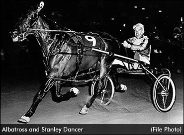 Harness Racing's Wonder Horse