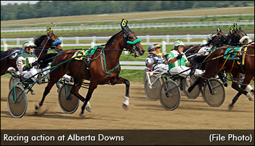 No More Racing At Alberta Downs?