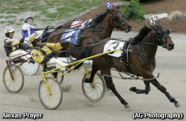 City Of London Mania Hits The Raceway