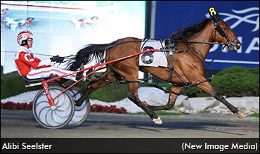 Alibi Seelster Tops Mixed Sale