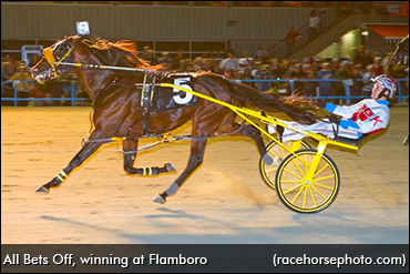 All Bets Off To Race In 2017