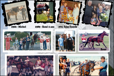 Celebrating 50 Years Of Horses