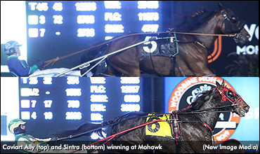 'Big M' Qualifiers For Caviart Ally, Sintra