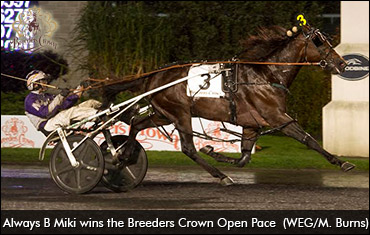 Crown History For Miller, Takter