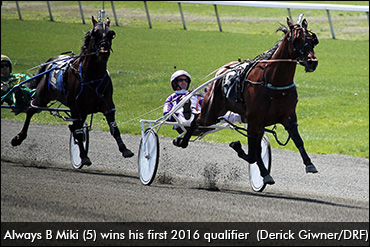 Stars Out For Saturday Qualifiers