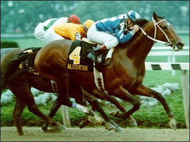 Alysheba Euthanized