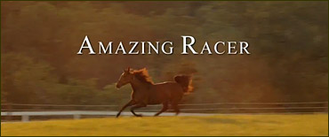 Harness Racing Movie Released