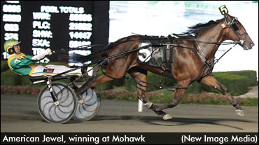 Brittany Sets 2012 Stud Fees