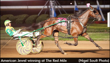 American Jewel Injured