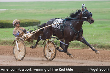 Zeron Looks Ahead To (Rest Of) 2016