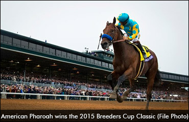 A Horse As Sportsman Of The Year?