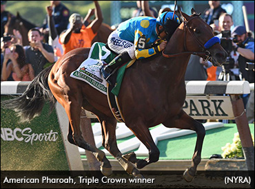 American Pharoah Wins Triple Crown