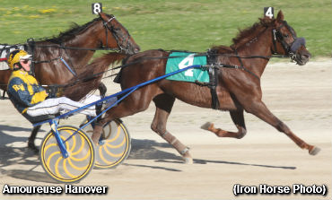 Faves Foiled In Gold Divisions