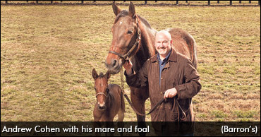 Horse Racing's Hidden Values