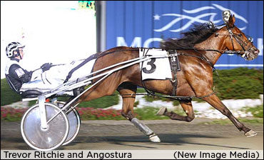 More On Placing Of Angostura