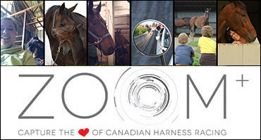 Pick Your Fave ZOOM Winner!