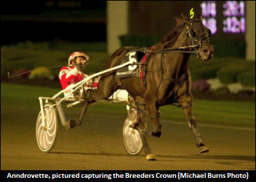 Crown Winner Highlights Forest City Noms