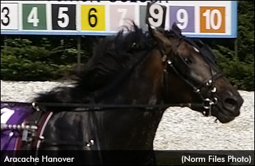 Heavyweights Tussle In Ben Franklin Elims