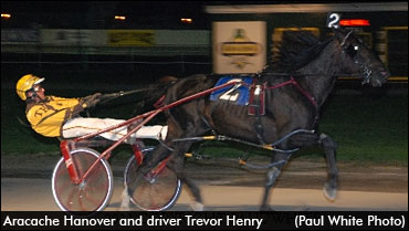 Track Record For Aracache Hanover