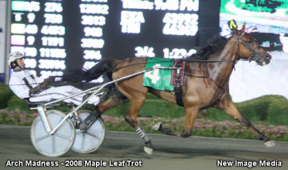 Stars Turn Out For Big M Quallies