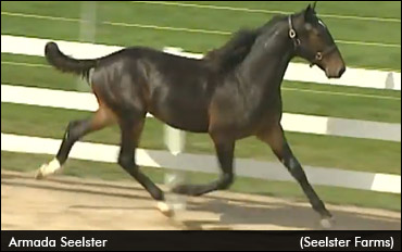 Forest City Sale Concludes