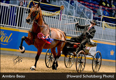 S-Breds To Star At Royal Horse Show