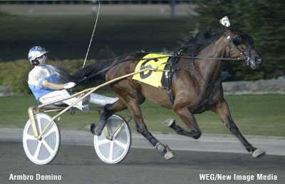 Armbro Domino Tops Mixed Sale