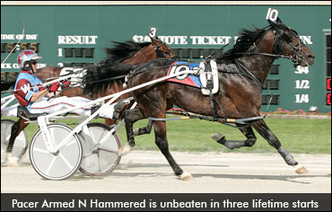 Armed N Hammered Beats The Odds