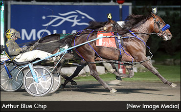 Shadow Plays Dominate In OSS