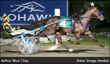 Arthur Blue Chip Scratched