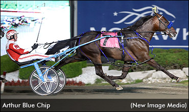 Arthur Blue Chip Sidelined