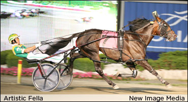 Artistic Fella To Seelster Farms