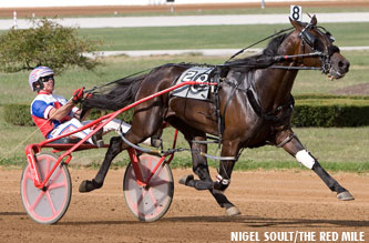 Art Official Heads To Haughton Final