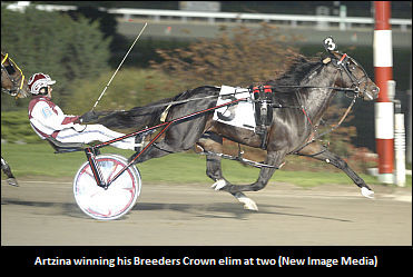 Artzina To Stand Stud In 2010 