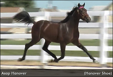 Ontario-Owned Rookie Impressive