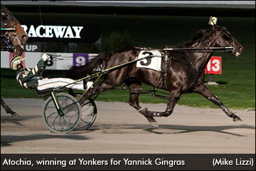 Gingras Training For Burke