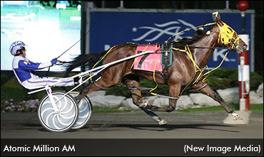 Homebred Colt A Godsend