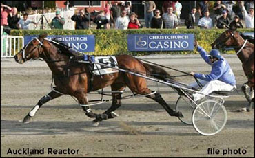 Interest Increasing In Auckland Reactor