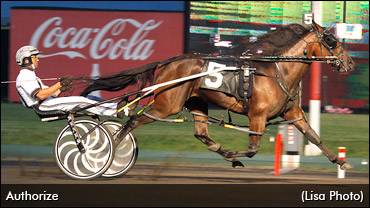 Filly Authorized For Success