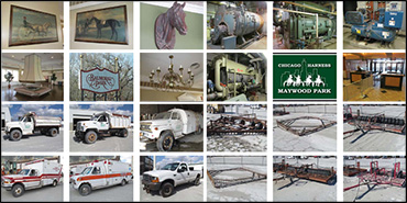 Harness Racing's Biggest Auction?