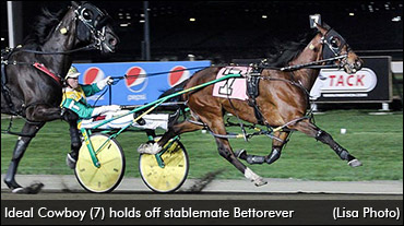 Stablemates Are 'Cup' Contenders