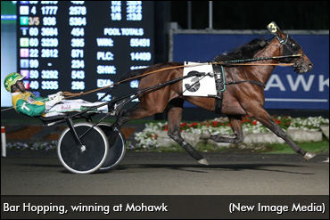 Bar Hopping Retired, To Stud