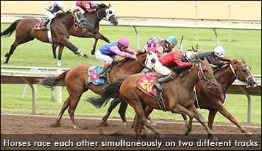 Two Track Surfaces, One Race
