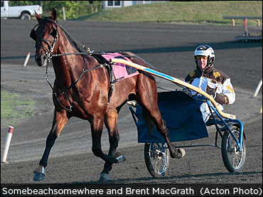 MacGrath On 'Beach' Weanling