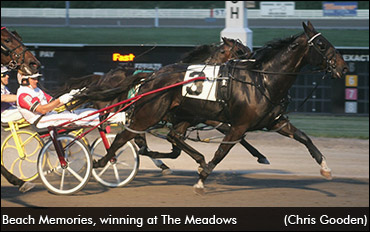 A Race With "Beach Memories"