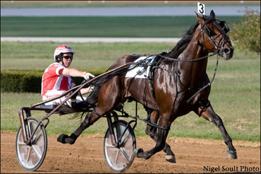 MacDonell Reflects On Dream Season