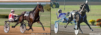 Maritimers Invade The Meadowlands