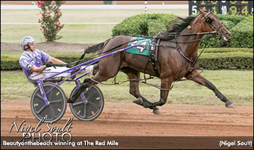 Beautyonthebeach Bests Fillies In KYSS