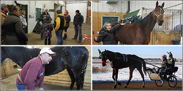 Fans Enjoy Bedrock Training Centre