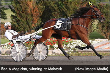 Bee A Magician Retired 